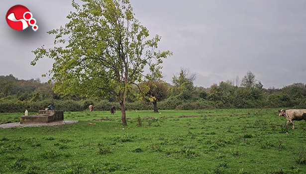 Su kuyusunda kadın cesedi!.....