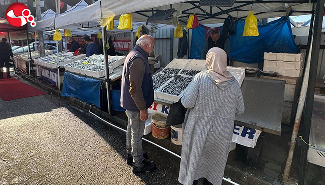 Hamsi yerini diğer çeşit balıklara bırakıyor