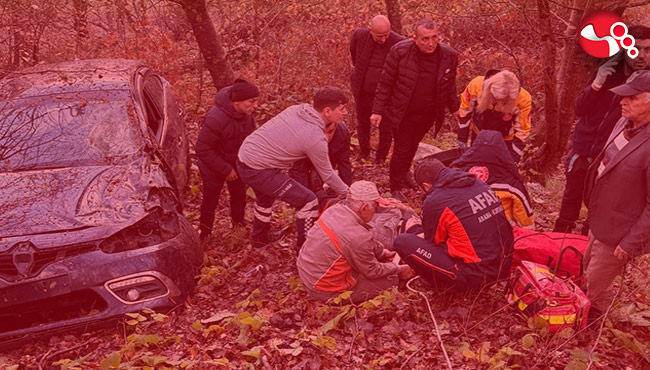 Otonobil ormanlık alana uçtu