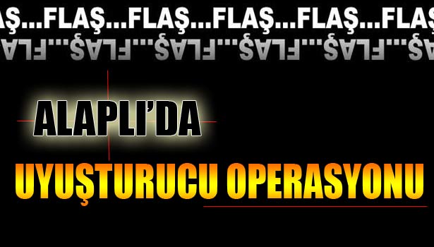 TAM 6 BİN KÖK HİNT KENEVİRİ!..