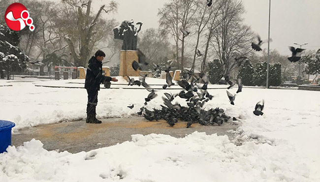 Sokaktaki canları unutmadılar