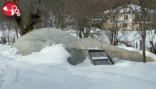 Seralar zarar gördü