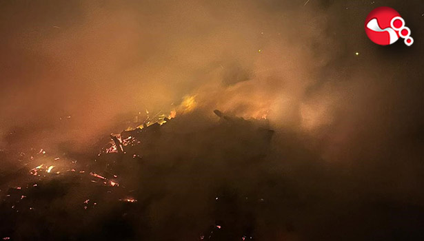 Ağaçlık alanda yangın!....