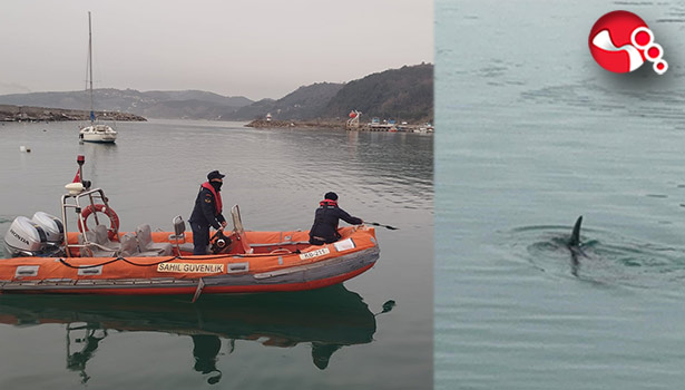 Yunus kurtarma operasyonu....