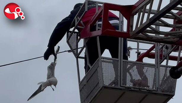 Tellerde mahsur kaldı