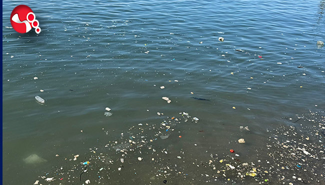 Sahilde çöp tepkisi