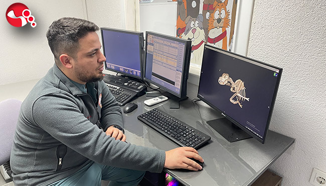 Zorlu operasyonla hayata tutundu