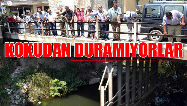 13 YILDIR TEMİZLENMEYEN DEREYE GÜL SUYU DÖKTÜLER