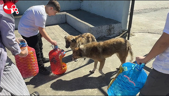 Yemek atıkları sokak hayvanları için mamaya dönüşüyor