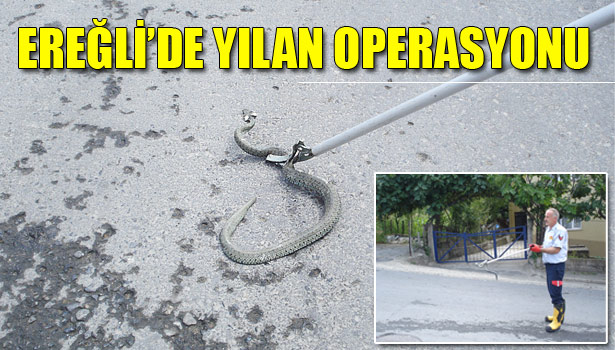 EREĞLİ İTFAİYESİ'NDEN YILAN OPERASYONU