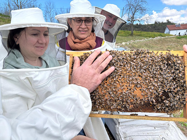 Hasbeyler arıcılığı öğreniyor: eğitimler sahaya taşındı....