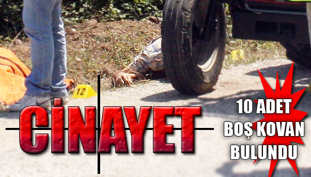 TRAKTÖRLE SEYİR HALİNDEYKEN VURULDU