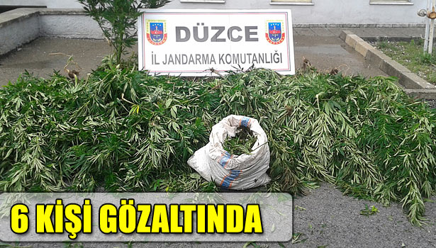 JANDARMADAN UYUŞTURUCU OPERASYONU