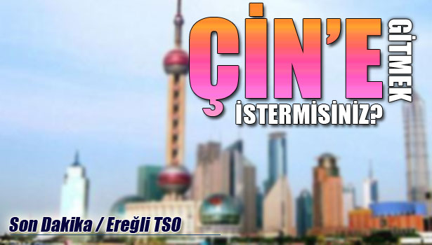 ÇİN ENDÜSTRİ FUARINA GEZİ