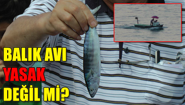 AKÇAKOCA'DA UFAK BALIK AVLANMASI PROTESTO EDİLDİ