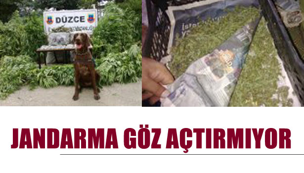 DÜZCE'DE JANDARMA GÖZ AÇTIRMIYOR
