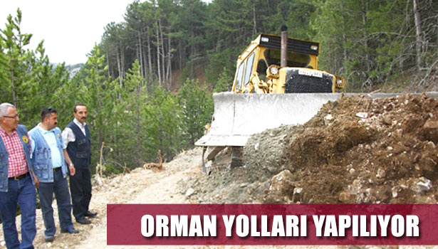 ORMAN YOLLARI YAPILIYOR