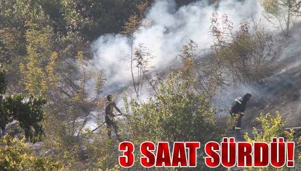 EREĞLİ'DEKİ YANGIN 3 SAATTE KONTROL ALTINA ALINDI