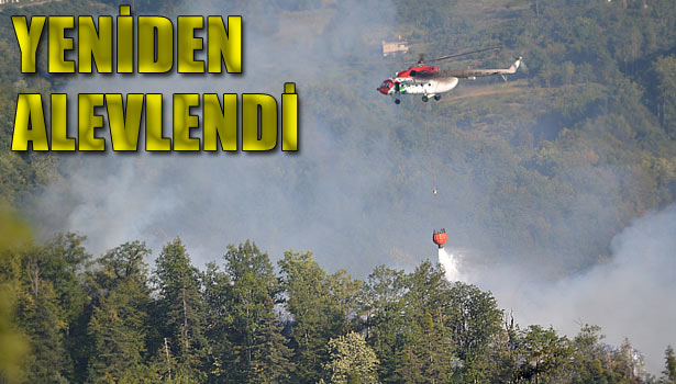 ULUDAĞ KÖYÜ'NDE ORMAN İKİNCİ KEZ ALEVLERE TESLİM OLDU