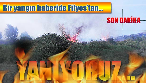 CİĞERLERİMİZ BİR BİR YANIYOR !!