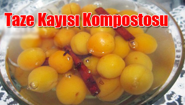 TAZE KAYISI KOMPOSTOSU NASIL YAPILIR?