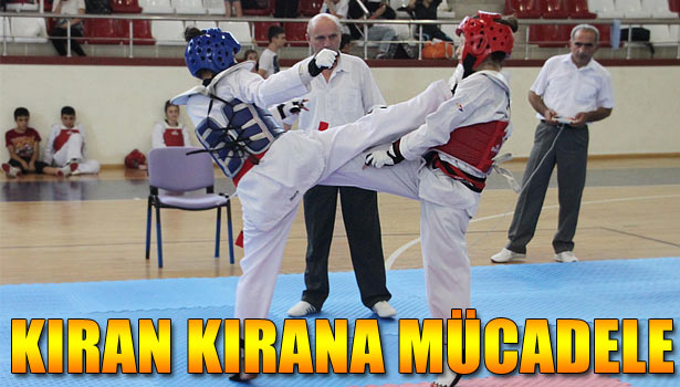 EREĞLİ'DE BATI KARADENİZ TAEKWONDO TURNUVASI DÜZENLENDİ