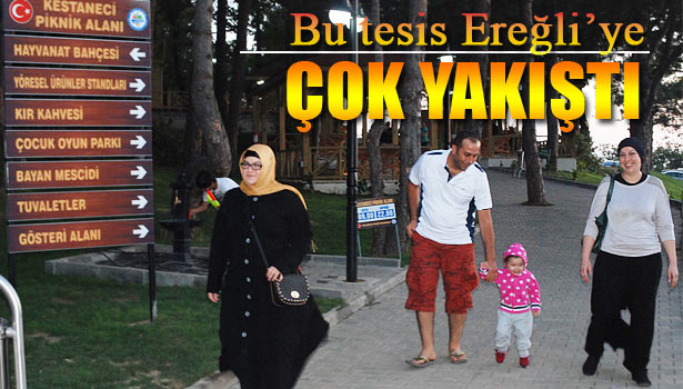 İLÇENİN STRES SAVARI KESTANECİ PİKNİK ALANI