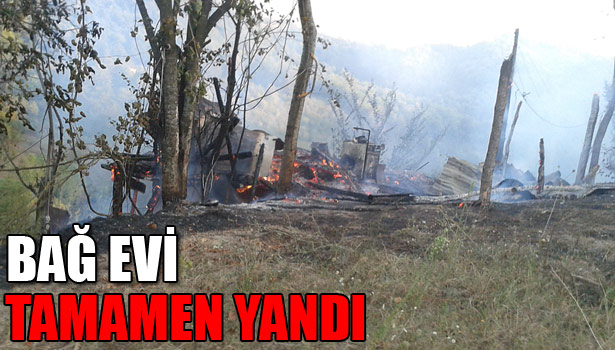 ORMANA SIÇRAYAN YANGIN KISA SÜREDE SÖNDÜRÜLDÜ