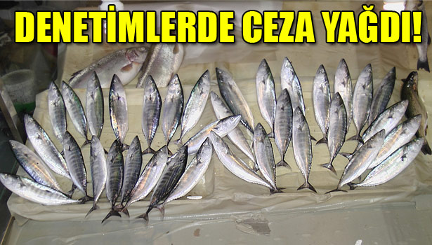 İŞLETMECİLERE CEZA YAĞDI