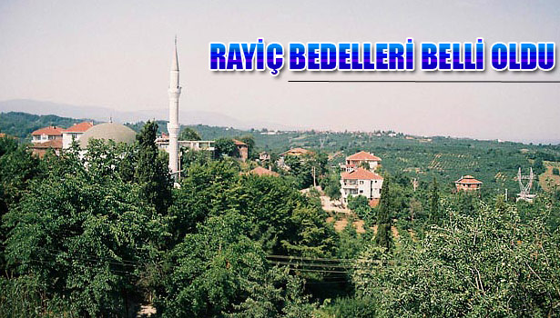 2/B ARAZİLERİNİN RAYİÇ BEDELLERİ BELLİ OLDU