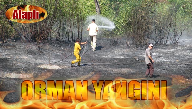 İKİ DÖNÜM KÜL OLDU