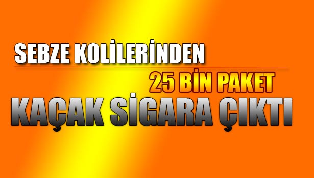 TIR SÜRÜCÜSÜ GÖZALTINDA