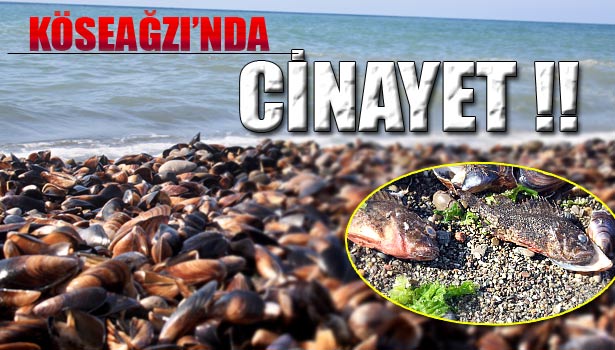 KİMSE GÖZLERİNE İNANAMADI (!)