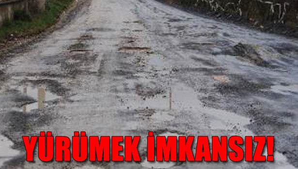 ÜNİVERSİTEYE MODERN YOL YAPILACAK