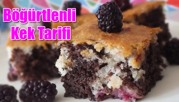 BÖĞÜRTLENLİ KEK NASIL YAPILIR?