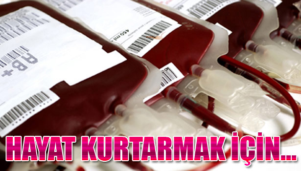 DÜZCE KAN'A CAN VERDİ