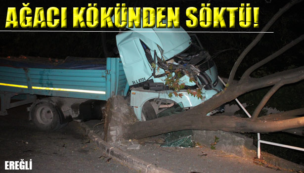 FRENİ BOŞALAN TIR, AĞACI KÖKÜNDEN SÖKEREK DURABİLDİ
