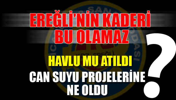 LİKOĞLU, TSO YÖNETİMİ VE MECLİSİNİ ELEŞTİRDİ