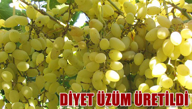 'DİYET ÜZÜM' ÜRETİLDİ!
