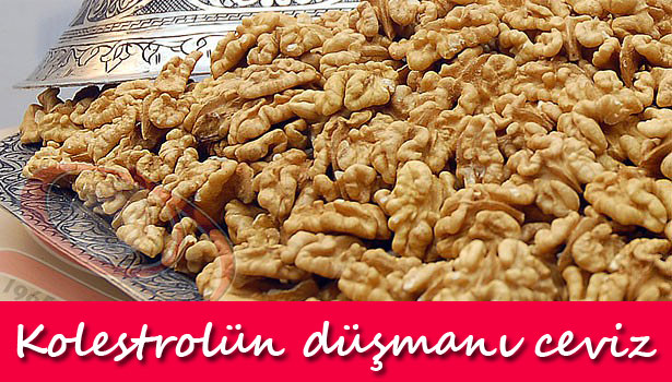 KOLESTROLÜN DÜŞMANI CEVİZ