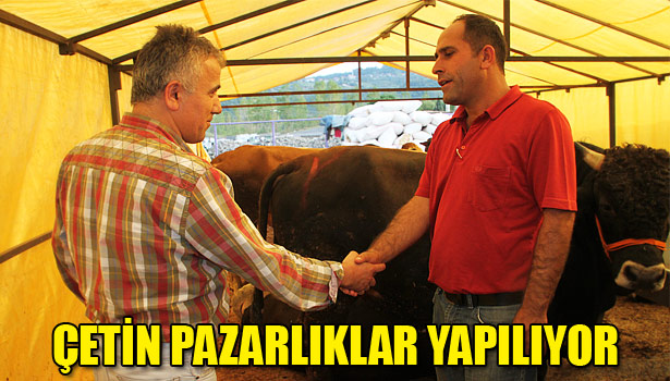 KURBANLIKLAR İKİNCİ EL OTO FİYATINA EL DEĞİŞTİRİYOR