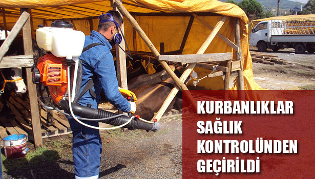 EREĞLİ'DE KURBANLIKLAR SAĞLIK KONTROLÜNDEN GEÇİRİLDİ