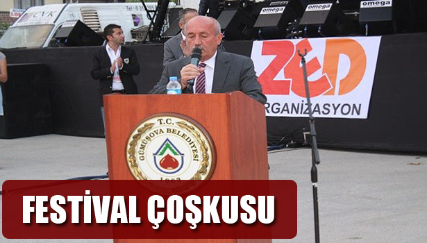 GÜMÜŞOVA'DA FESTİVAL ÇOŞKUSU