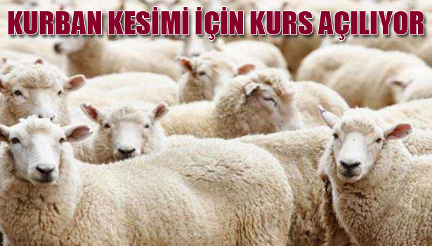 KURBAN KESİMİ İÇİN KURS AÇILIYOR