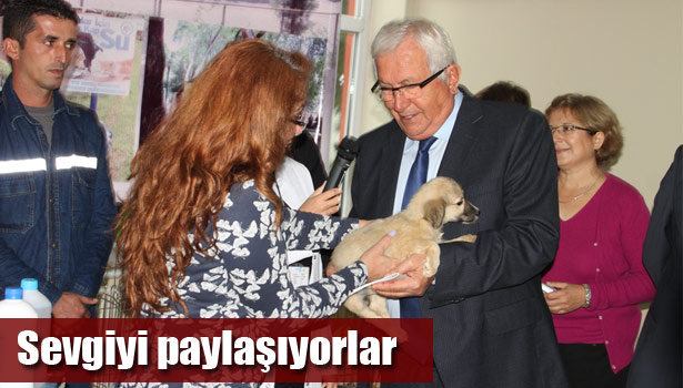 SAHİPSİZ KÖPEK VE KEDİLER SAHİPLENDİRİLDİ