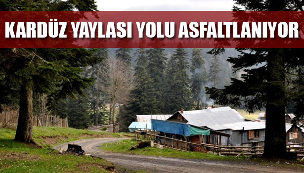 KARDÜZ YAYLASI YOLU ASFALTLANIYOR