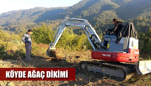 KÖYDE AĞAÇ DİKİMİ