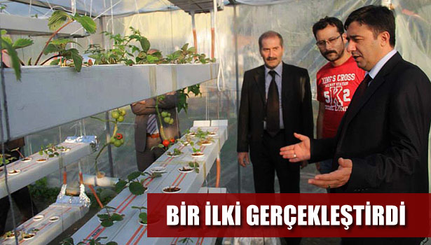 OSMANLI ÇİLEĞİNE TOPRAKSIZ ÇÖZÜM ÜRETTİ