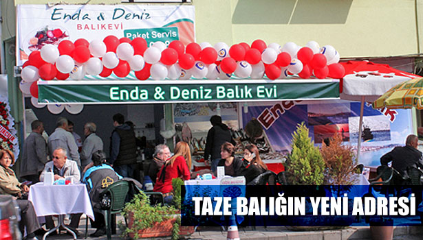 TAZE BALIĞIN YENİ ADRESİ