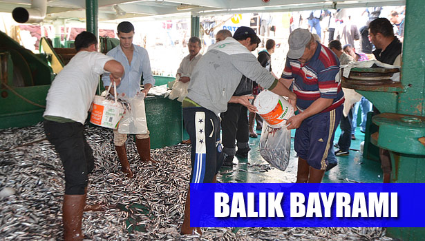 KARADENİZ'DE HAMSİ BOLLUĞU